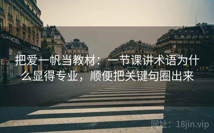把爱一帆当教材：一节课讲术语为什么显得专业，顺便把关键句圈出来
